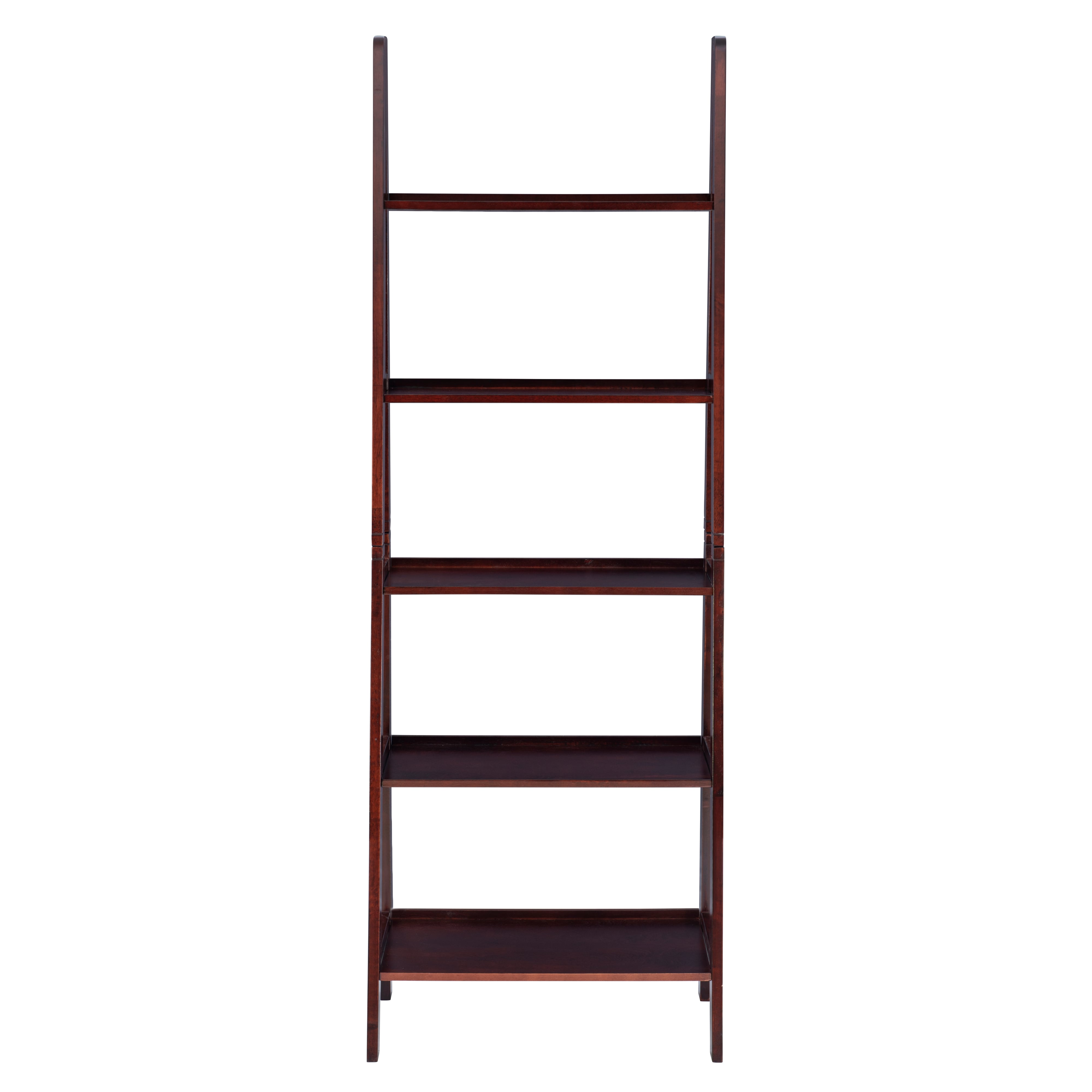 Ladder Bookshelf