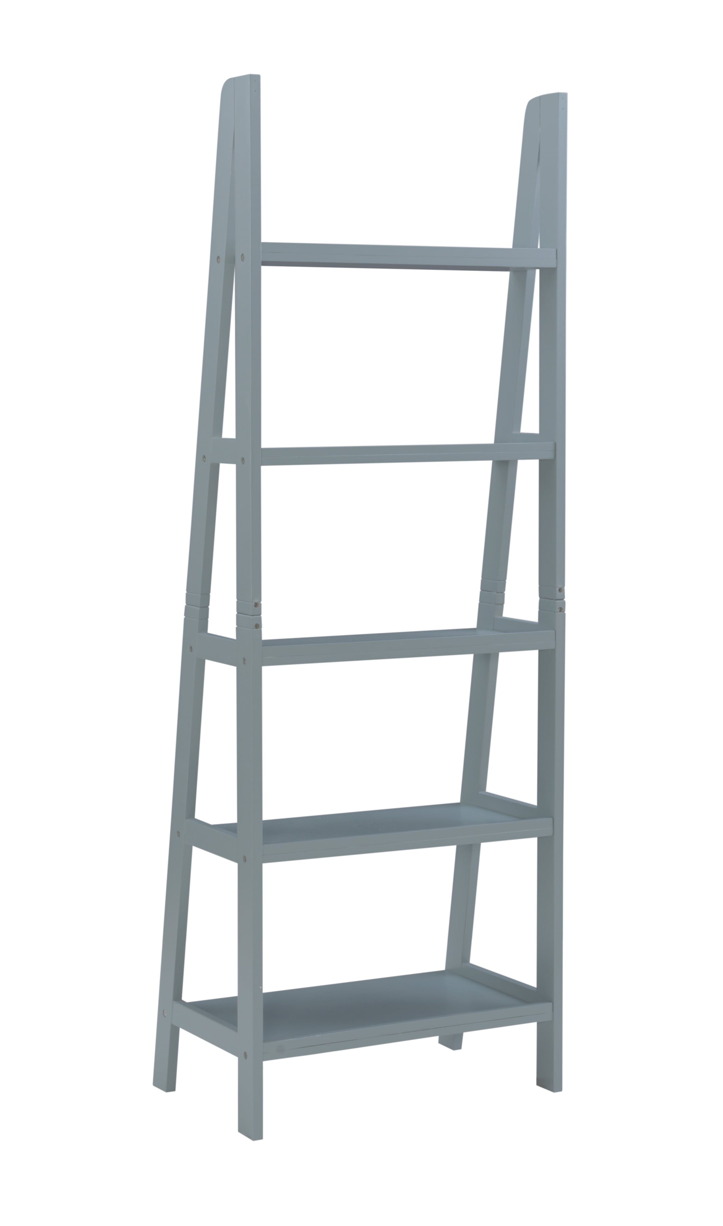 Ladder Bookshelf