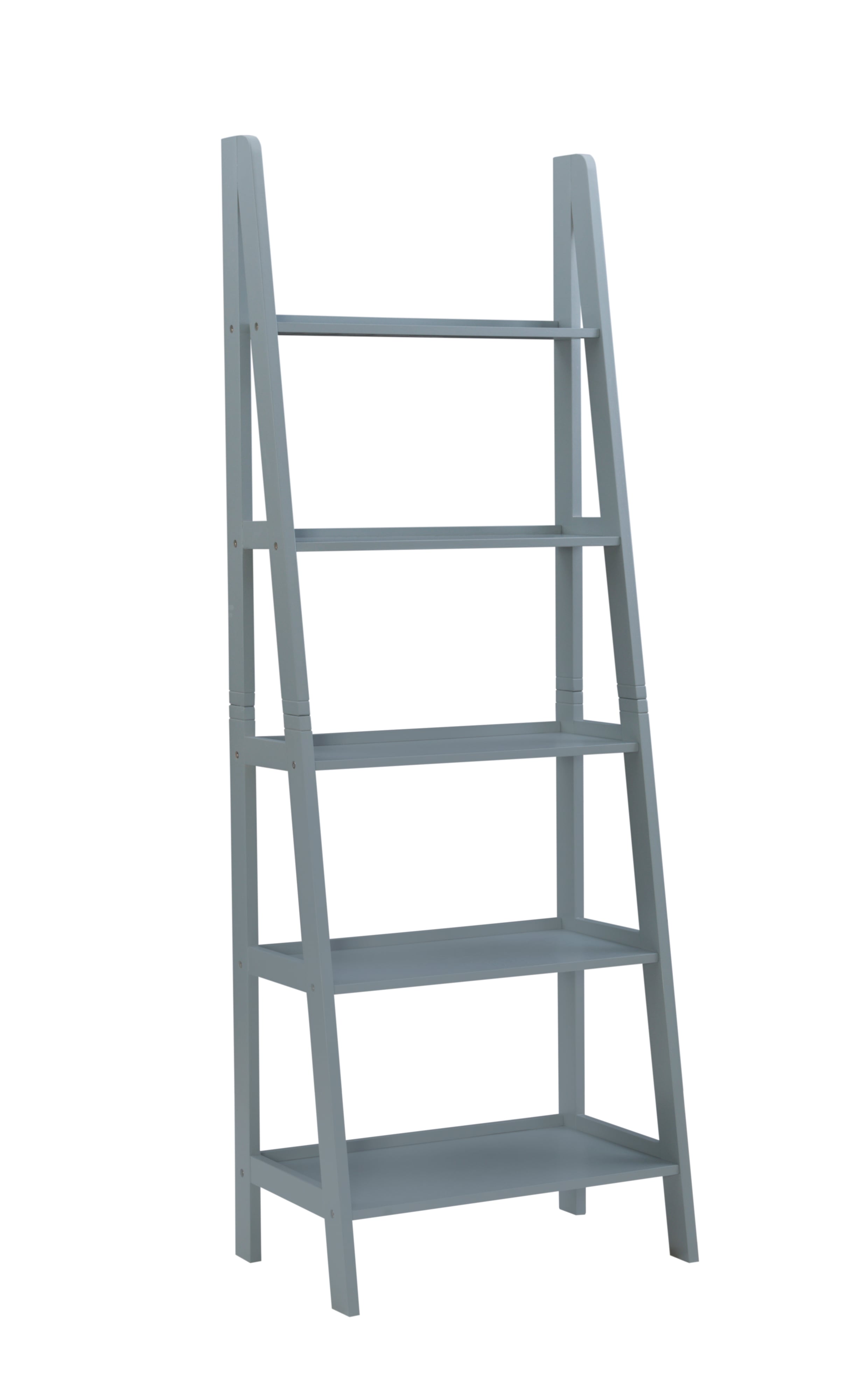 Ladder Bookshelf