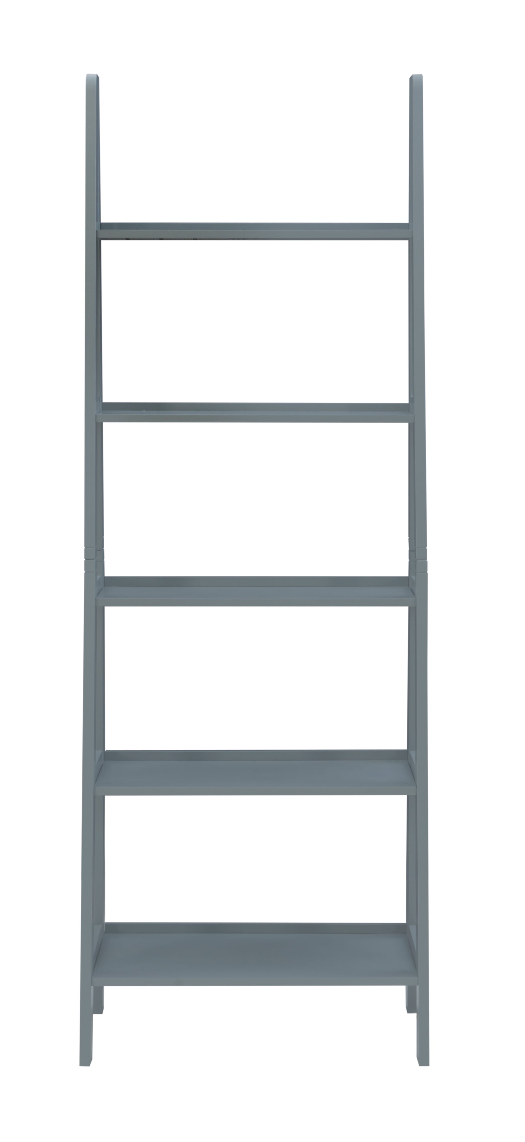 Ladder Bookshelf