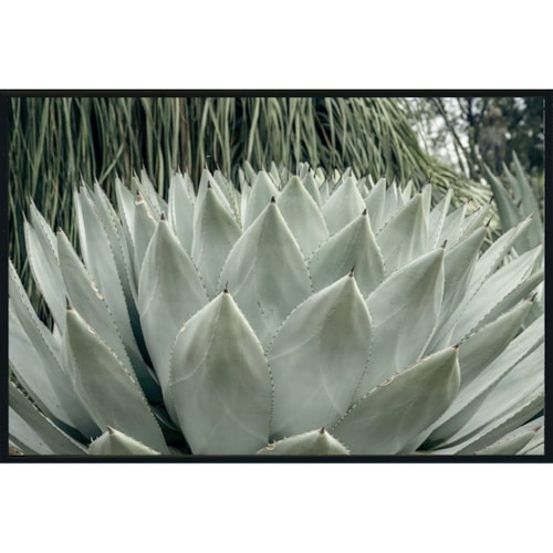48x72 Photography By Michael D-Avello