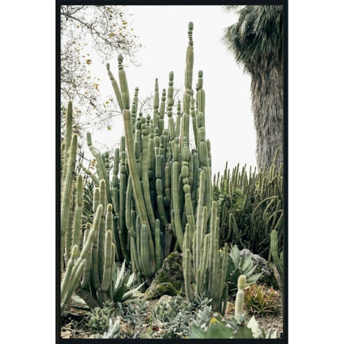 Photography 48X72 By Michael D-Avello
