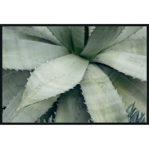 48x72 Photography By Michael D-Avello