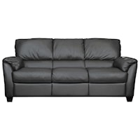 Leather Sofa