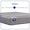 Sealy Sealy Royal Cove Medium Hybrid Twin Long Mattress