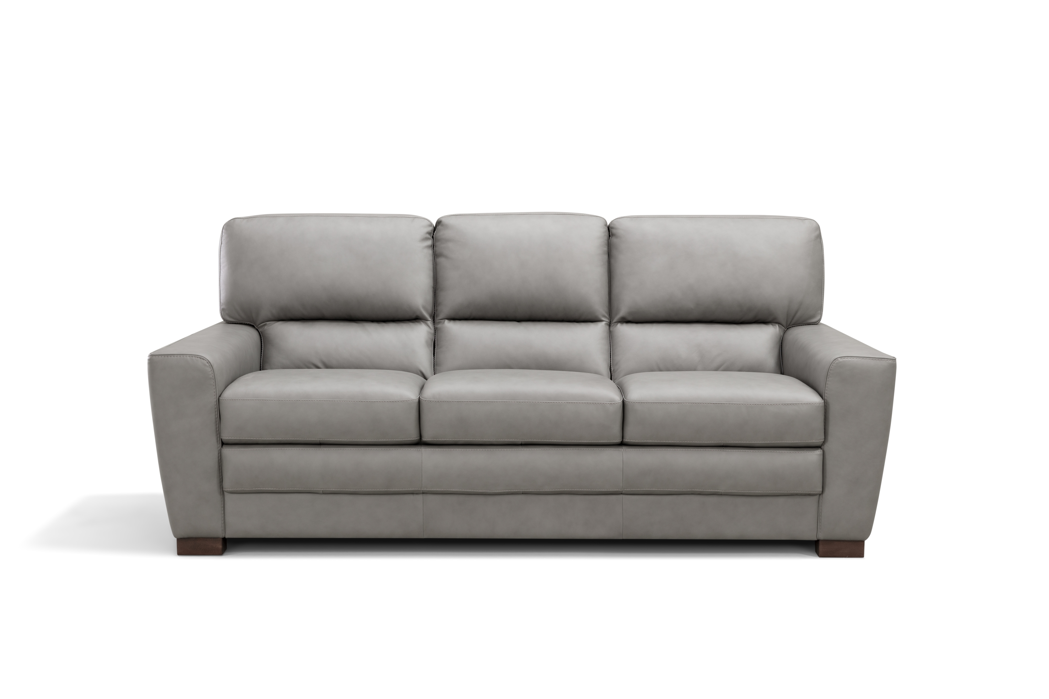 Leather Italia USA Cameron Leather Sofa
