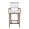 Drew & Jonathan Home Catalina Catalina Arm Barstool