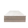 Tommy Bahama Mattress Anchors Away Firm Twin Firm Mattress