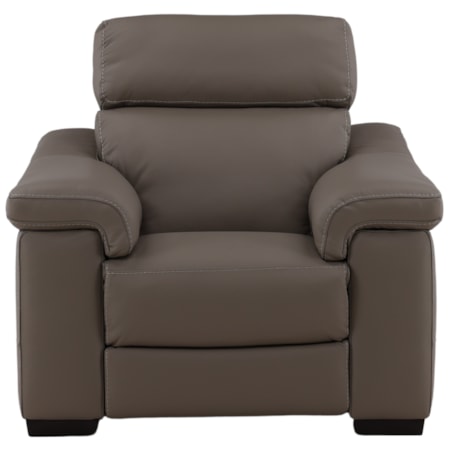 Power Dual Recliner