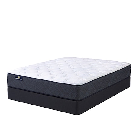 Queen Low Profile Mattress Set