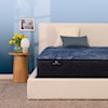 Serta Serta Perfect Sleeper Cobalt Calm 13.25" Plush Mattress - Twin