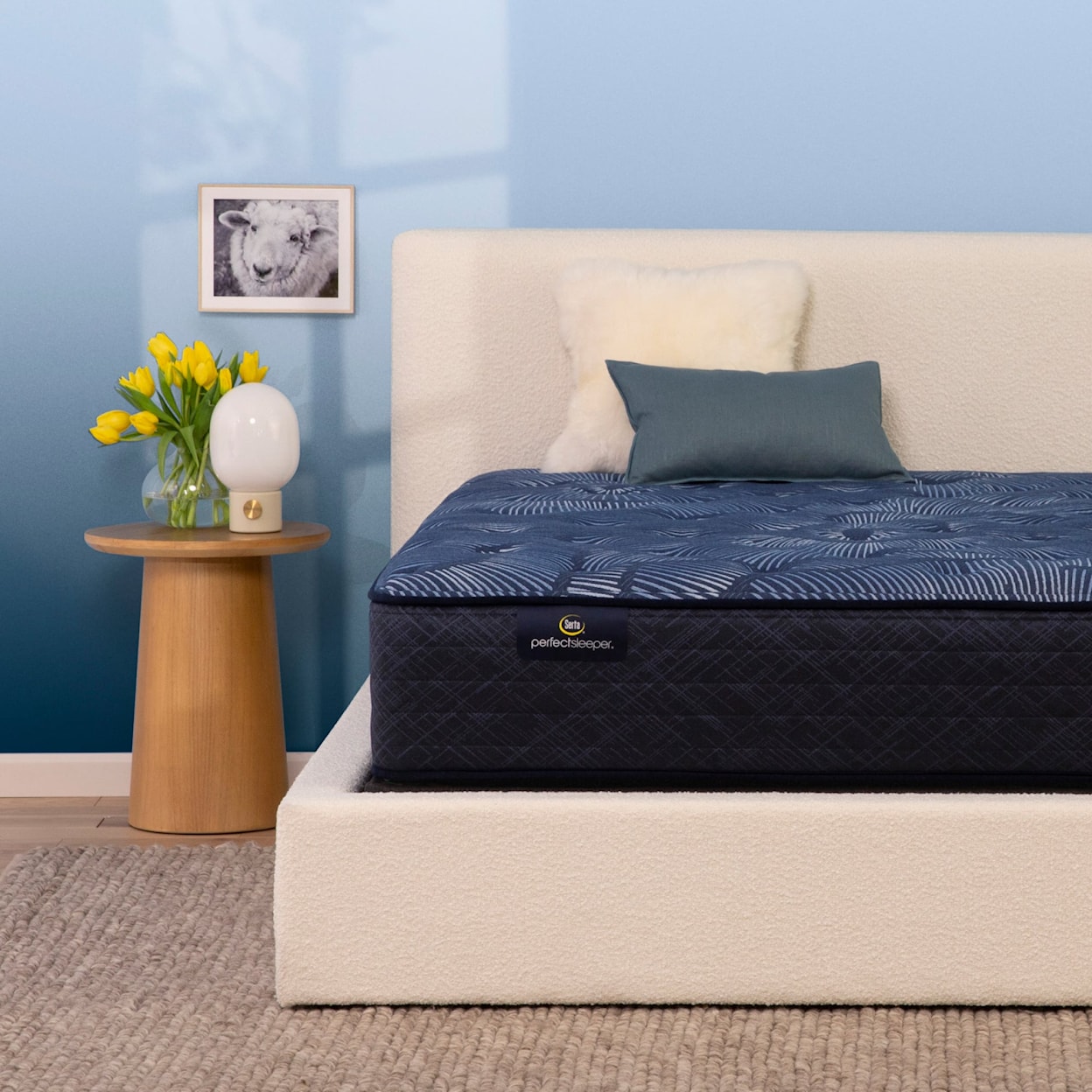 Serta Perfect Sleeper Cobalt Calm PL TT Mattress - California King