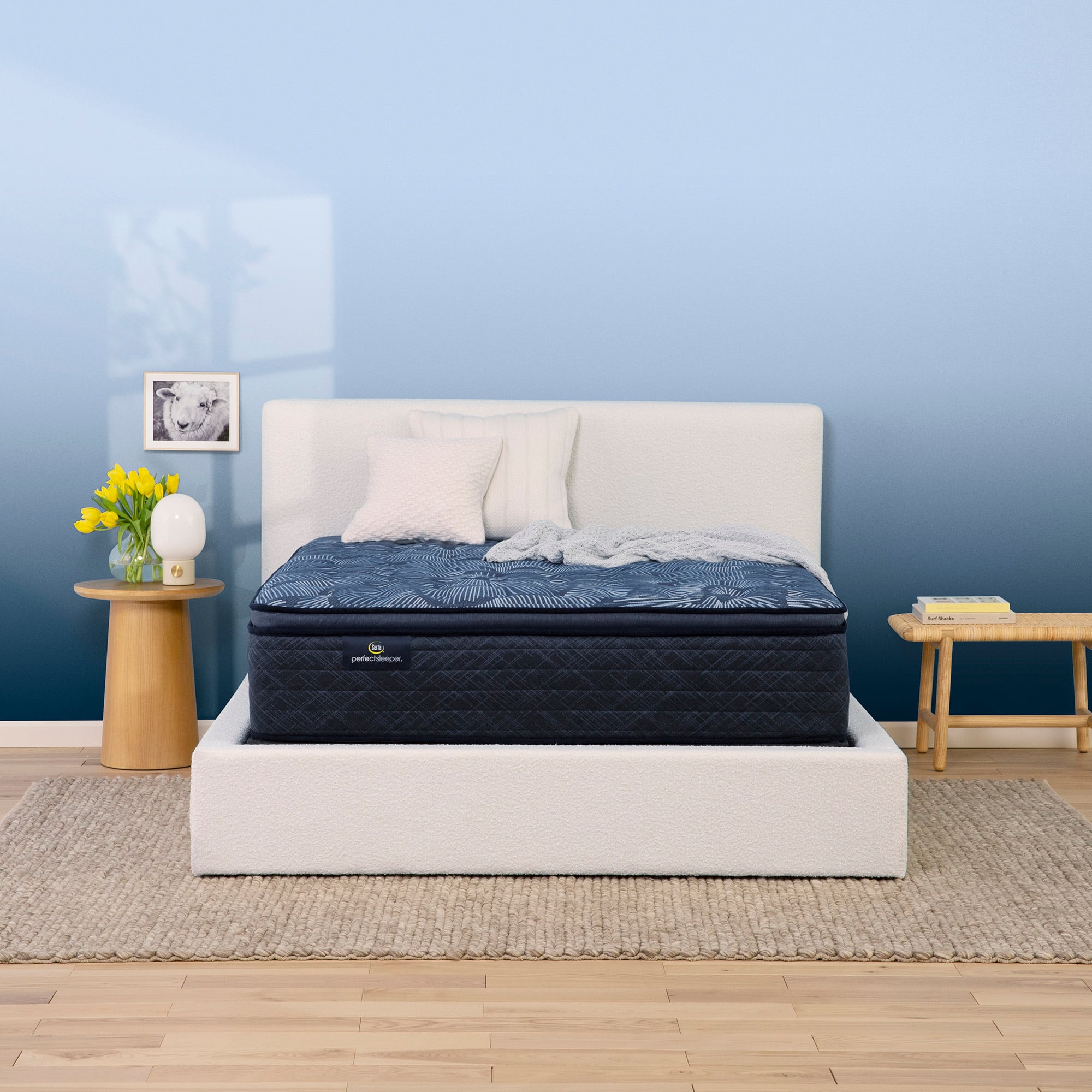 Serta Perfect Sleeper Cobalt Calm MED PT 500100473 1070 Perfect Sleeper Cobalt Calm 14.5 Medium Pillow Top Mattress California King SlumberWorld Matt Mattress