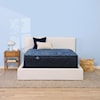 Serta Perfect Sleeper Euphoric Nights FM King Mattress Set