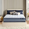 Serta Perfect Sleeper Ren. Night 13" Extra Firm King Mattress