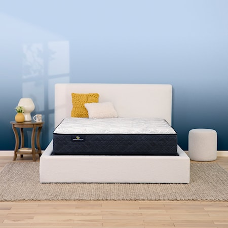 Queen Low Profile Mattress Set