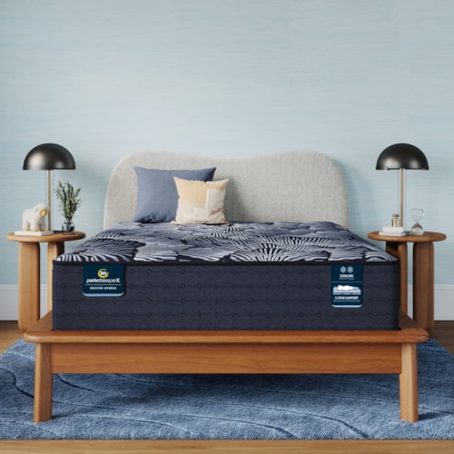 Perfect Sleeper X Excelled 14.25" Hybrid Plush Mattress -Queen