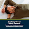 Serta iComfortECO F40HD PL TT California King Mattress Set