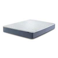 Perfect Sleeper Nestled Night 10" Memory Foam Medium Firm Mattress -Twin XL