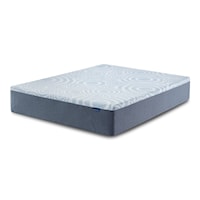 Perfect Sleeper Splendid Slumber 12" Memory Foam Medium Mattress -California King