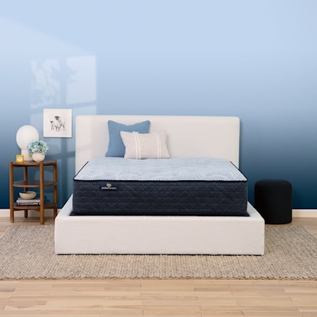 Queen Mattress Set