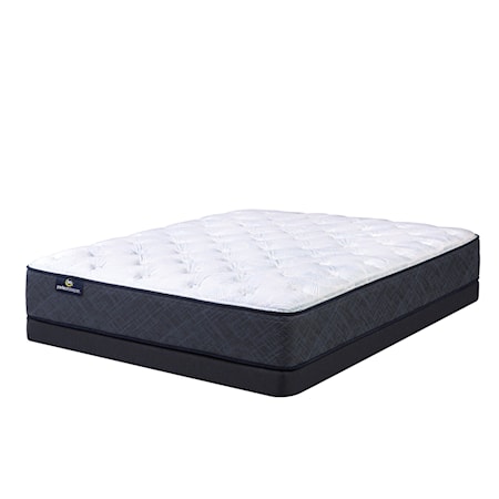 Queen Low Profile Mattress Set