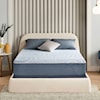 Serta Perfect Sleeper Splendid Slumber MD TT Twin XL Mattress-in-a-Box