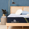 Serta iComfortECO F30LTX PL TT Mattress - Full