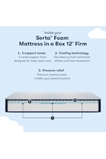 Serta Serta Sleep to Go MIB 12" Firm TT Serta Sleep to Go 12" Memory Foam Firm Mattress in a Box -Queen