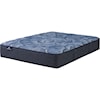 Serta Serta Perfect Sleeper Cobalt Calm 13.25" Plush Mattress - Queen