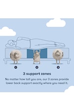 Serta Serta Sleep to Go MIB 6" Firm TT Serta Sleep to Go 6" Memory Foam Firm Mattress in a Box -Twin