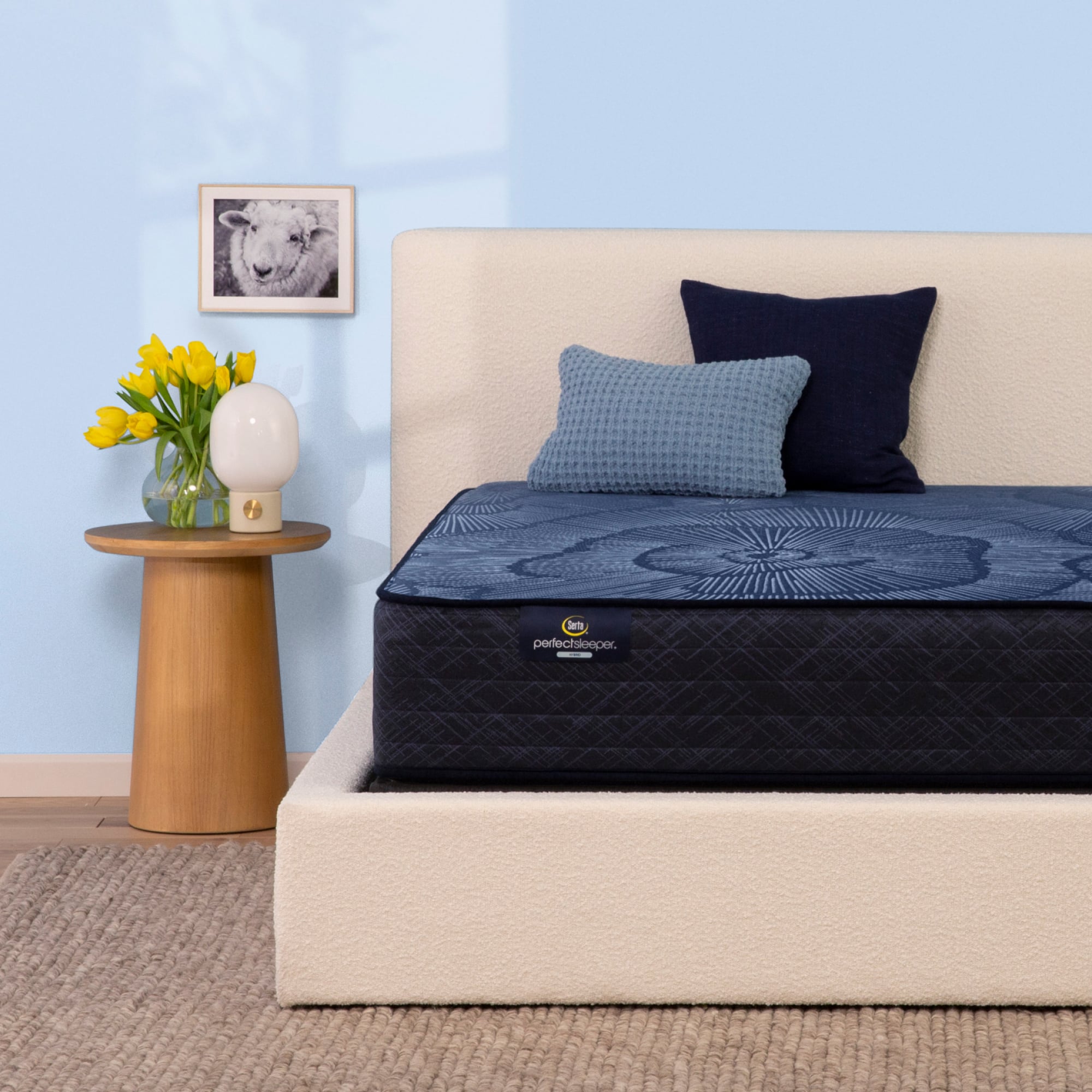 Serta perfect sleeper queen mattress outlet set