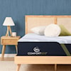 Serta iComfortECO F40HD PL TT Twin XL Low Profile Mattress Set