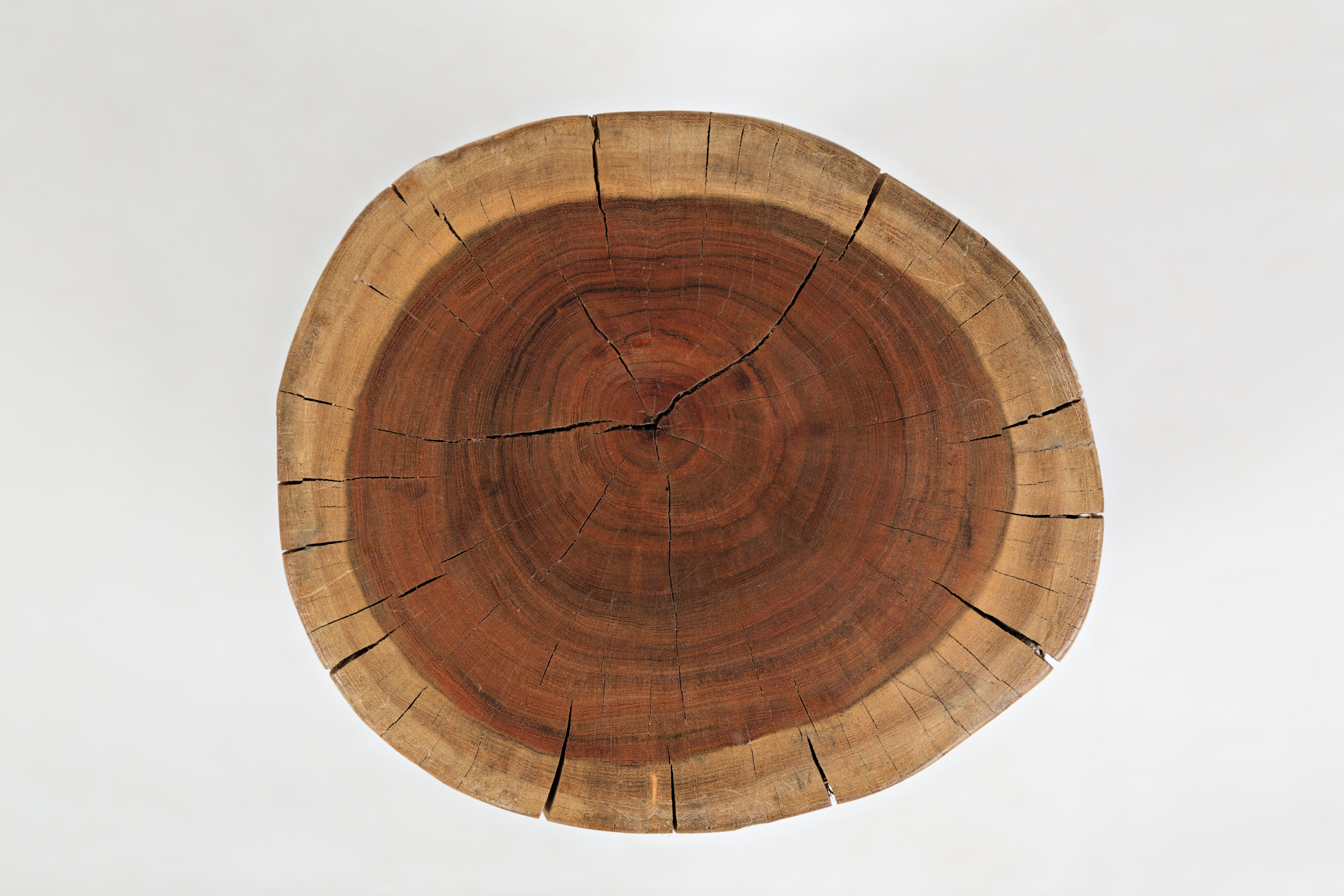 Hardwood Stump Accent Table