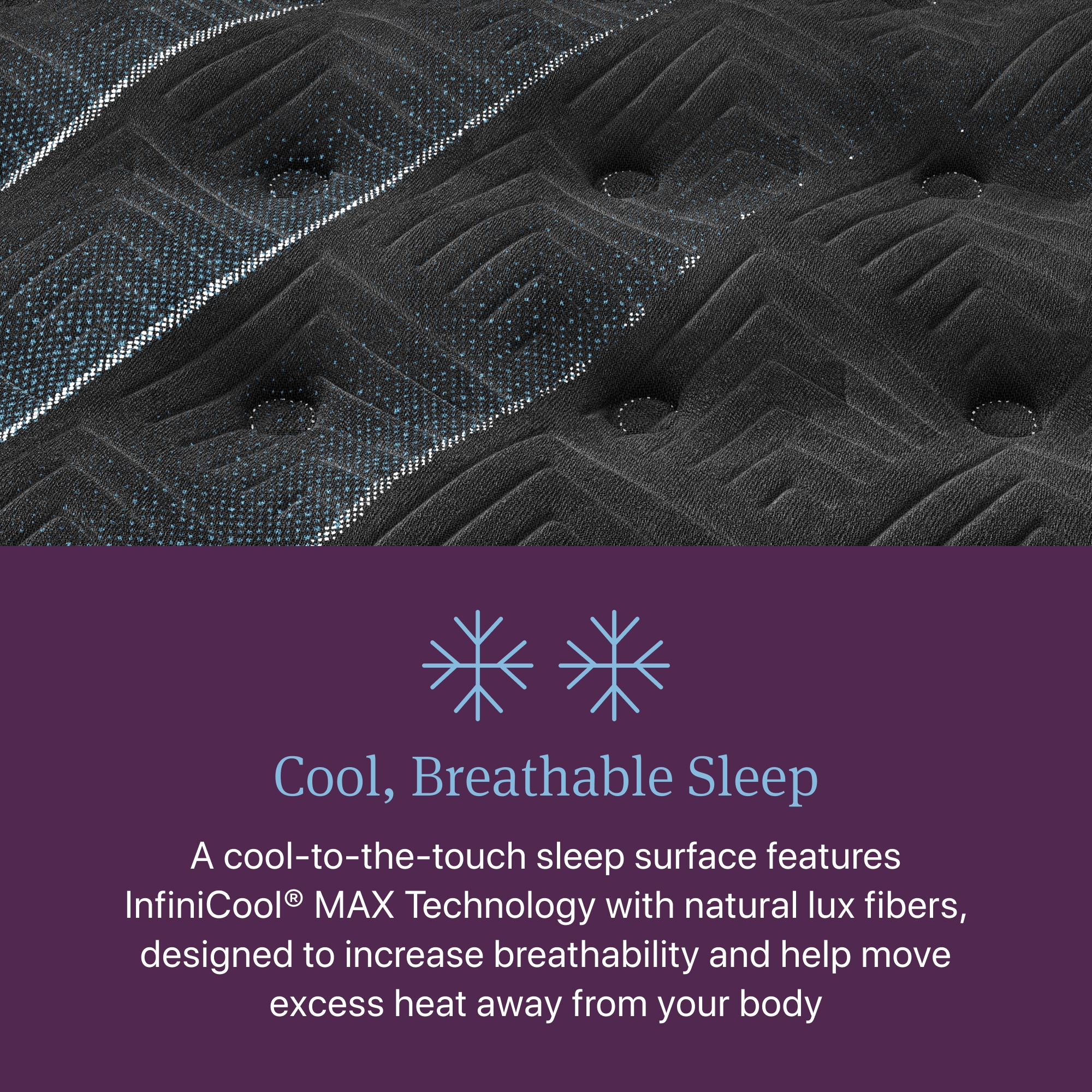 World Class Level Four Plush -Queen