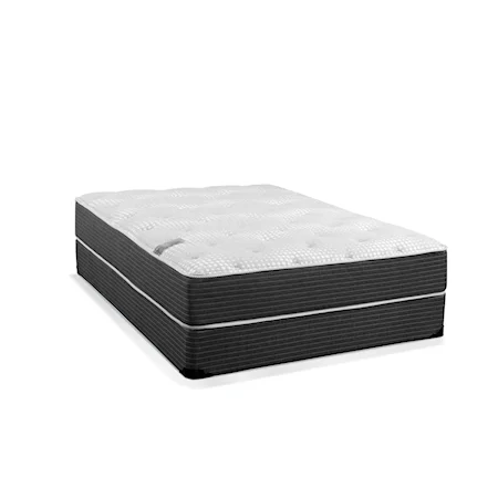 Augusta Queen 12.25 Plush Mattress