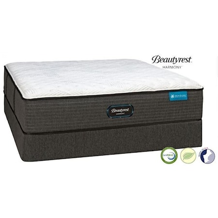 King Plush Mattress