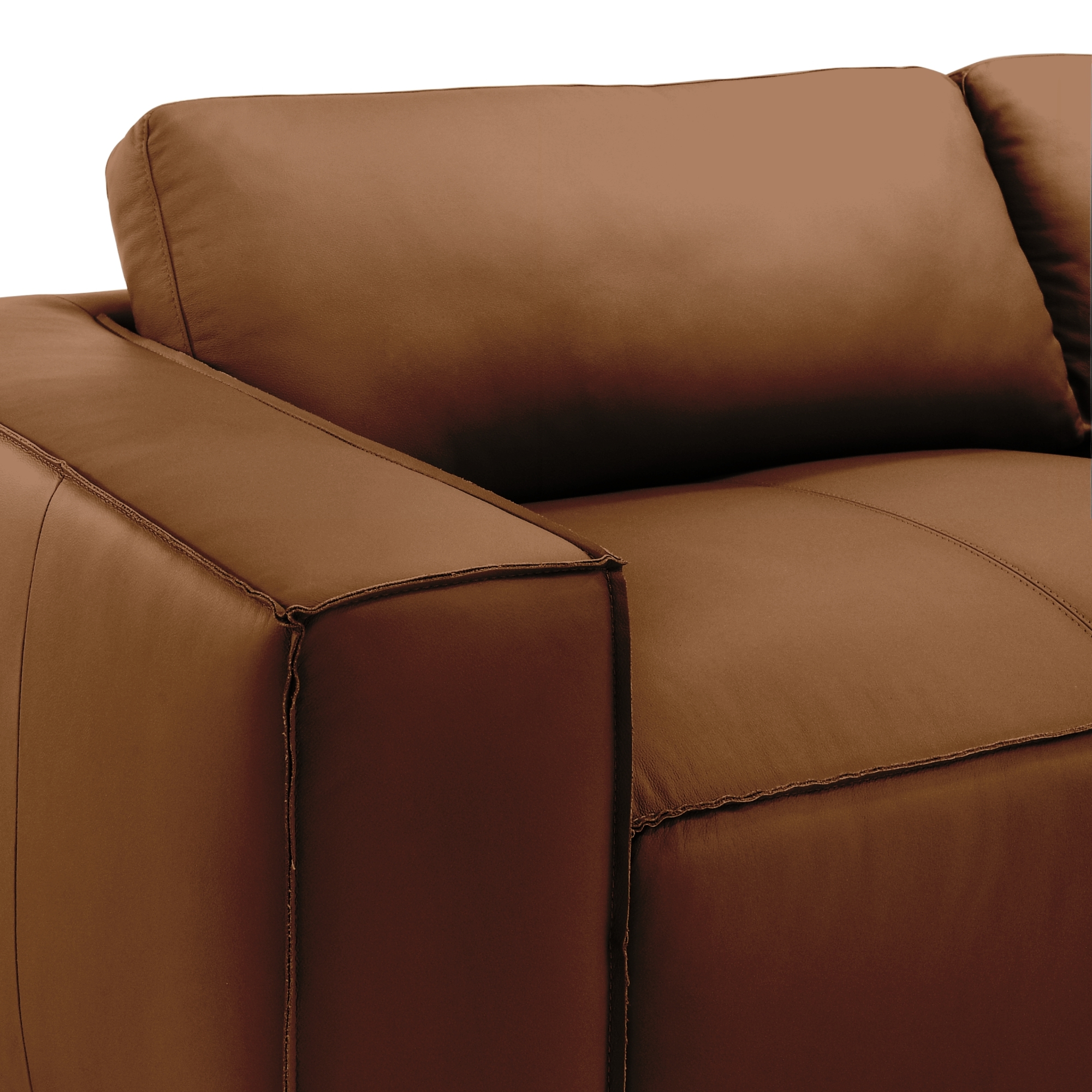 Armen Living Clayton 2-pc. Modern Casual Leather Living Room Set