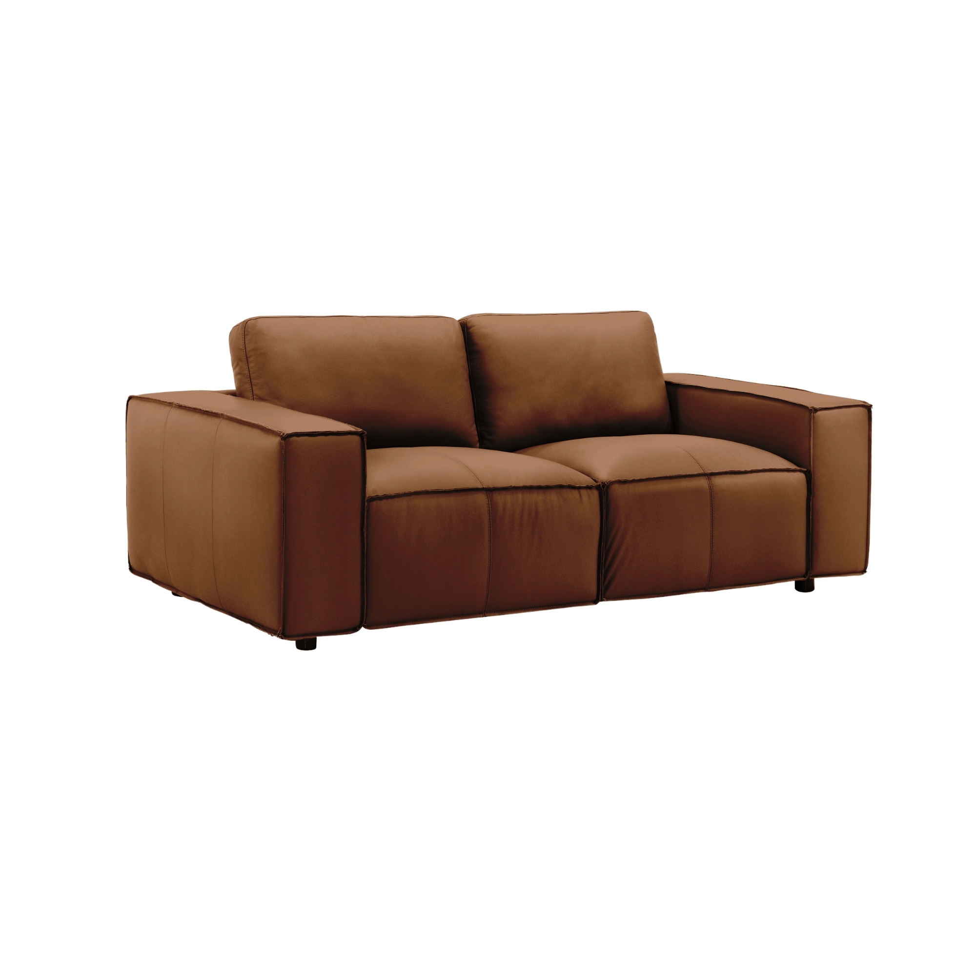 Armen Living Clayton 2-pc. Modern Casual Leather Living Room Set