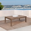 Armen Living Relic Outdoor Coffee Table