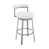 Armen Living Neura Counter-Height Stool