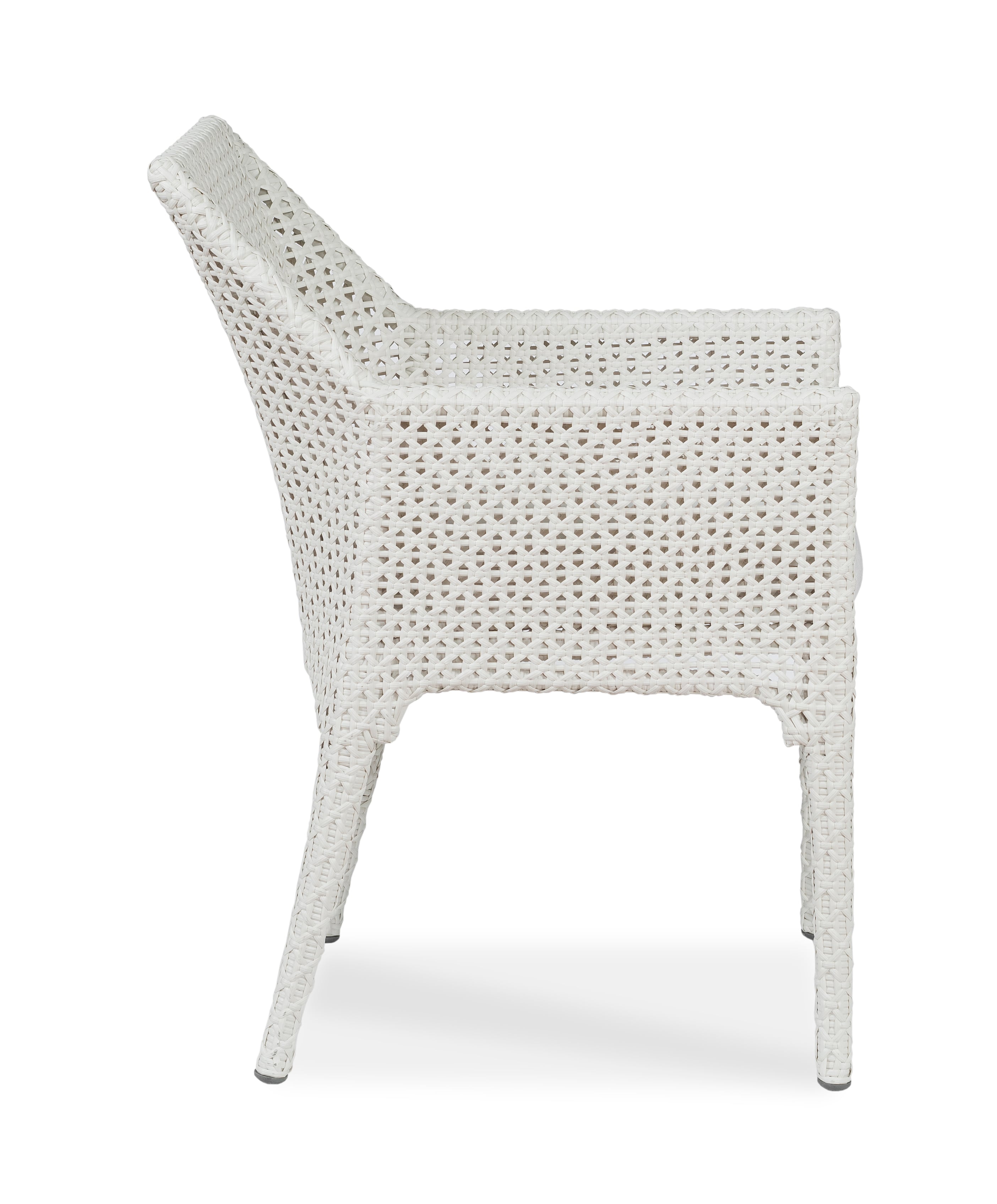 Century Tangier Tangier Arm Chair