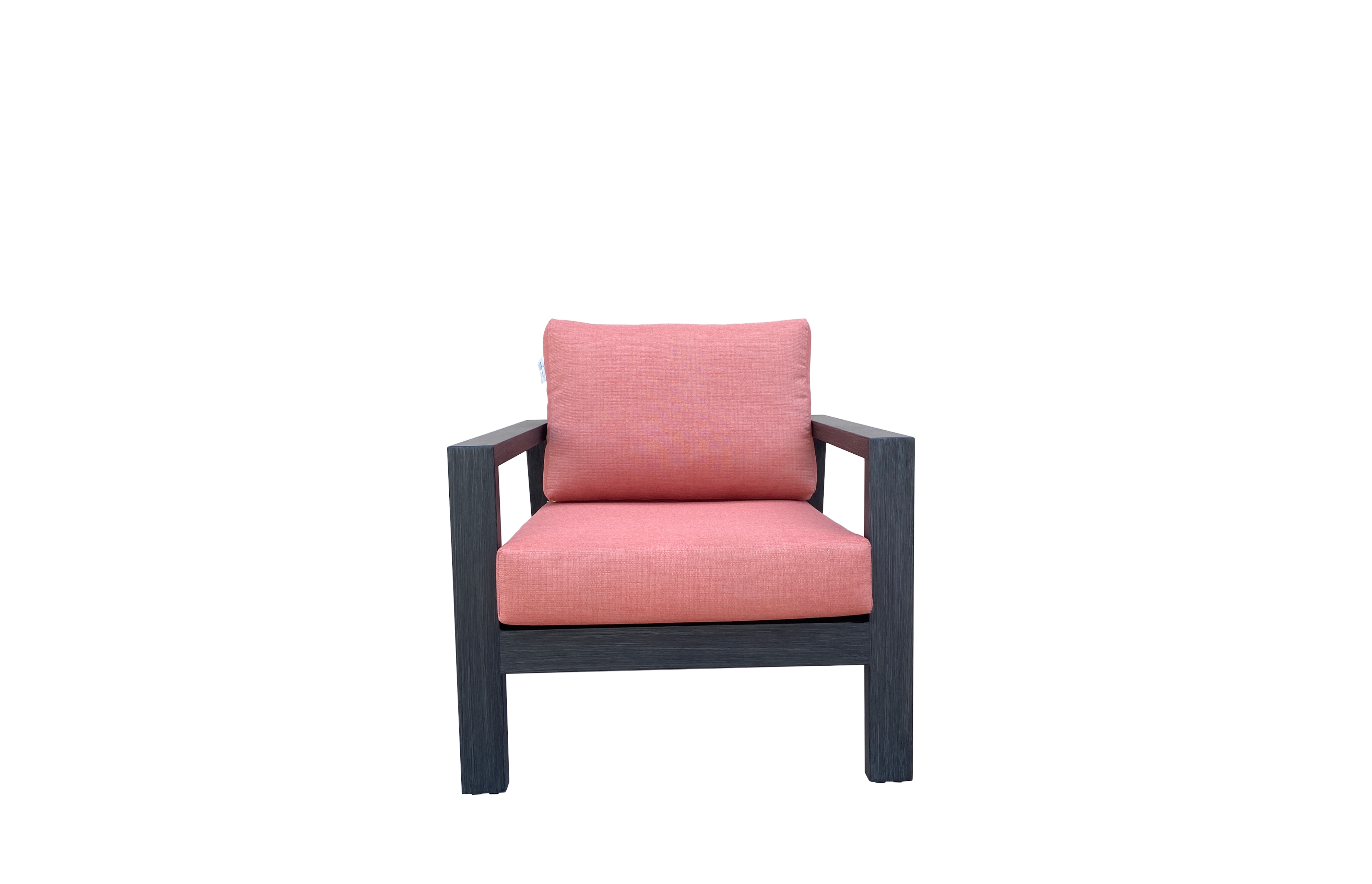 Modern Club Chair