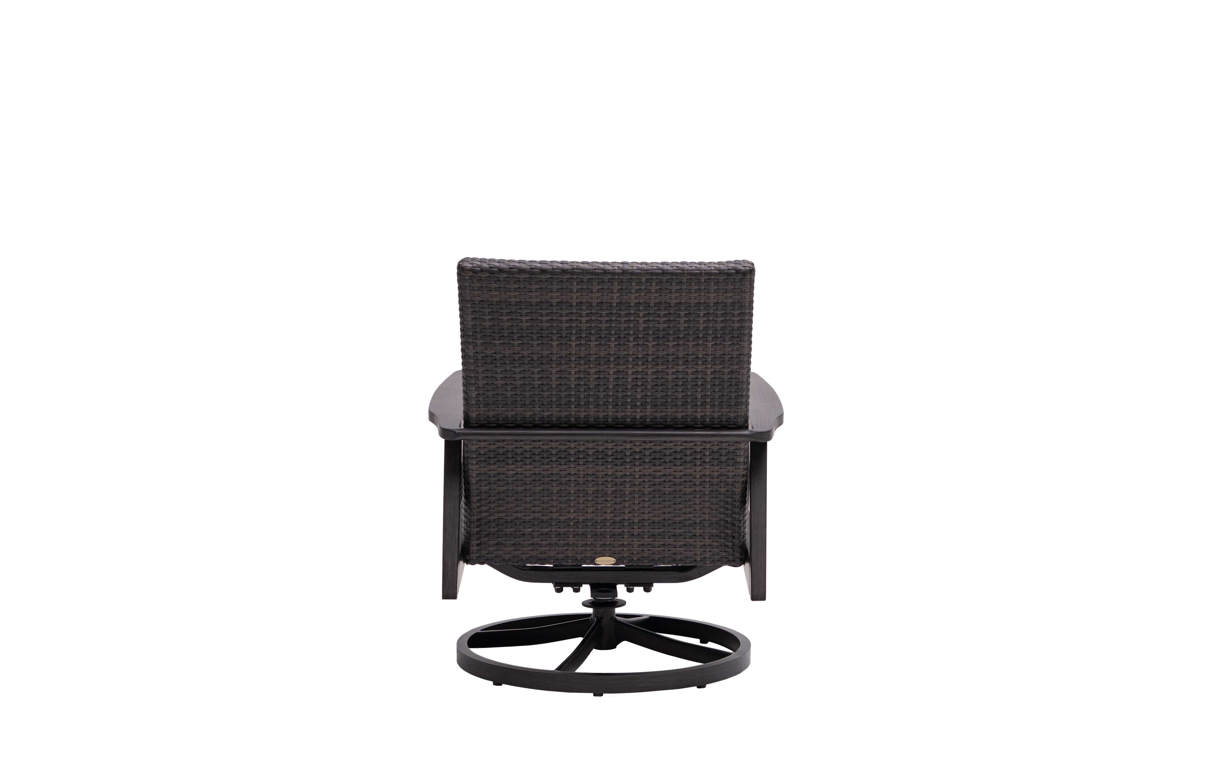 Coastal Woven Swivel Rocker