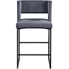 Meridian Furniture Caleb Counter Stool