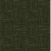 Samba Olive 24511