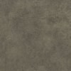 Pewter 22803