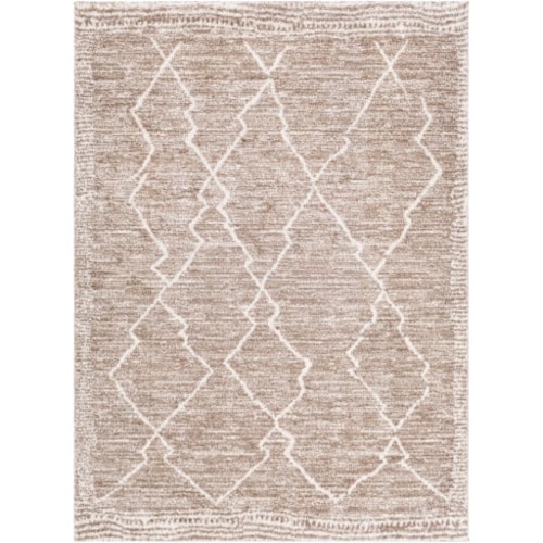 Machine Woven Rug