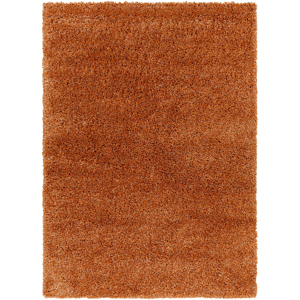 Surya Rugs Bogota shag Rugs