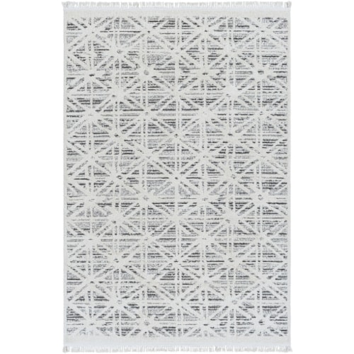 Machine Woven Rug